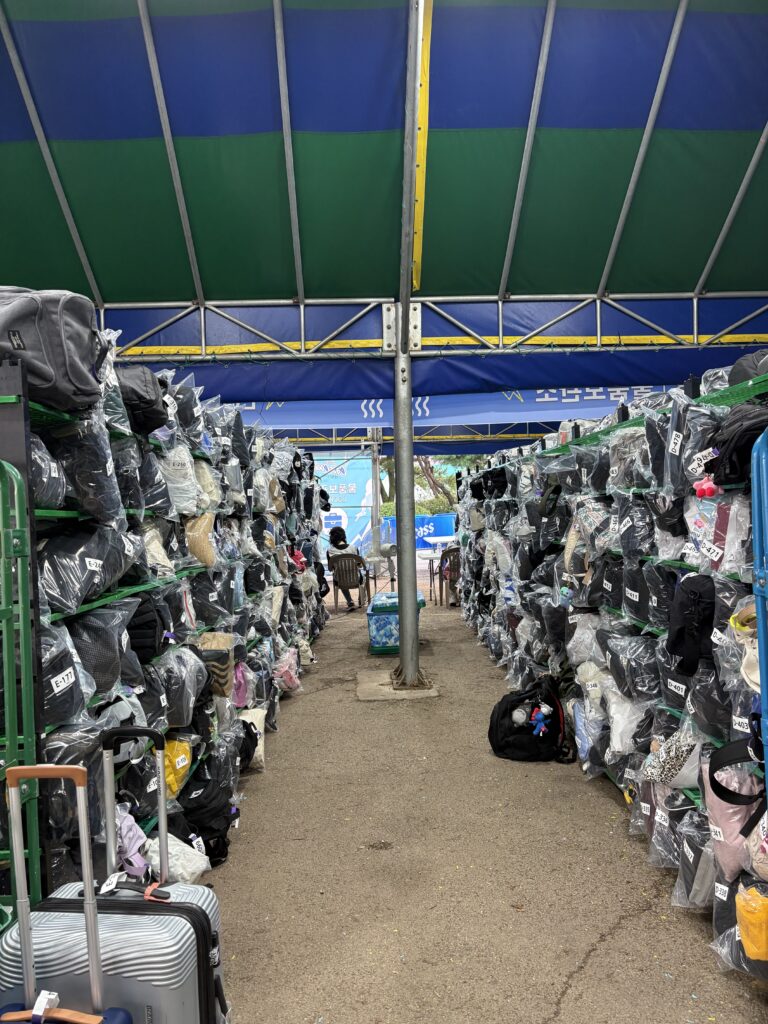 카스쿨 페스티벌 (25년 8월)