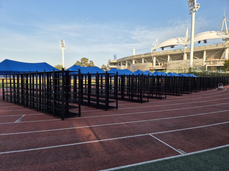 손기정 마라톤 (25년 11월)