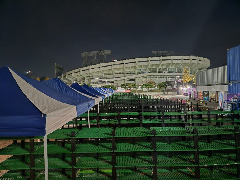 MBN마라톤 (25년 11월)