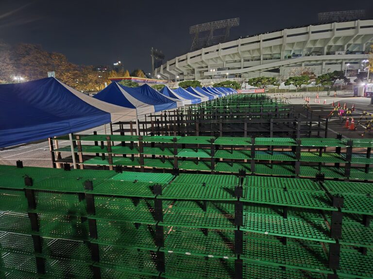 MBN마라톤 (25년 11월)