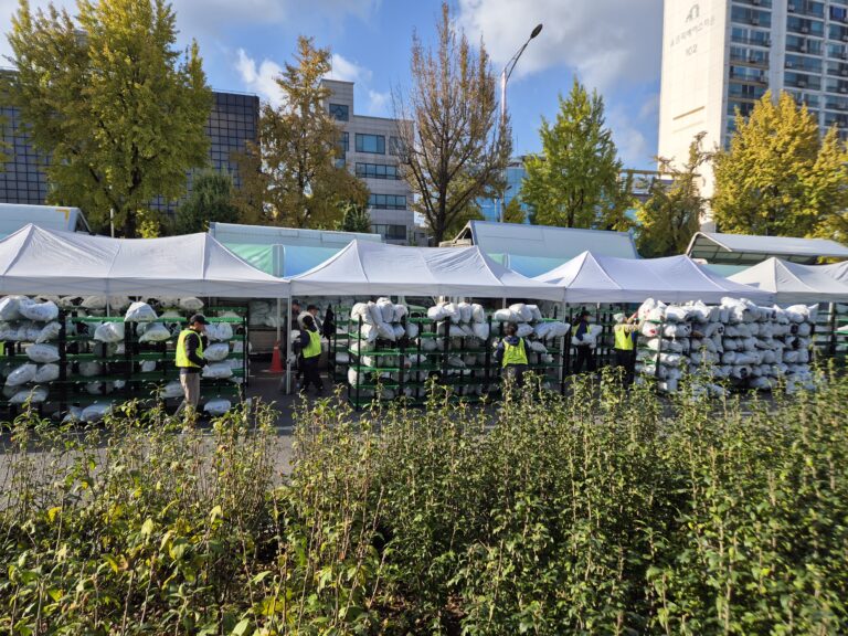 JTBC마라톤 (25년 11월)