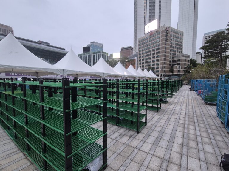 서울 레이스 (25년 10월)