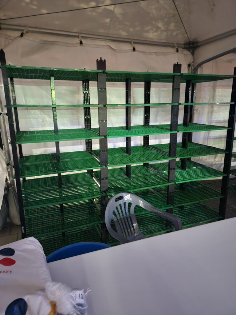 윈더 러스트 (25년 10월)