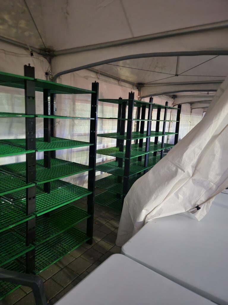 윈더 러스트 (25년 10월)