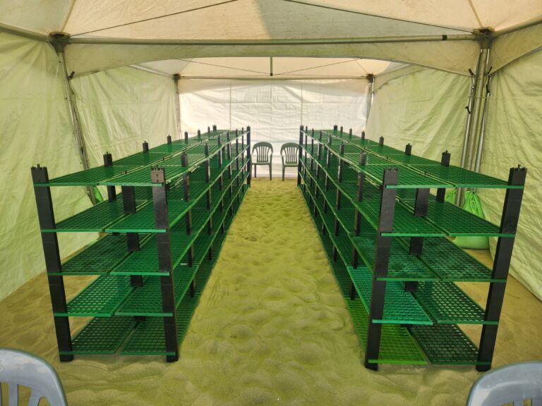 해운대 북극곰 축제 (26년 1월)